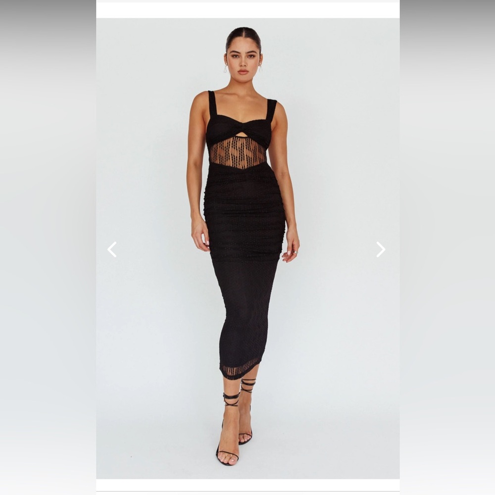 Oliana Embroidered Mesh Midi Dress